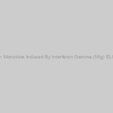 Image of Human Monokine Induced By Interferon Gamma (MIg) ELISA Kit